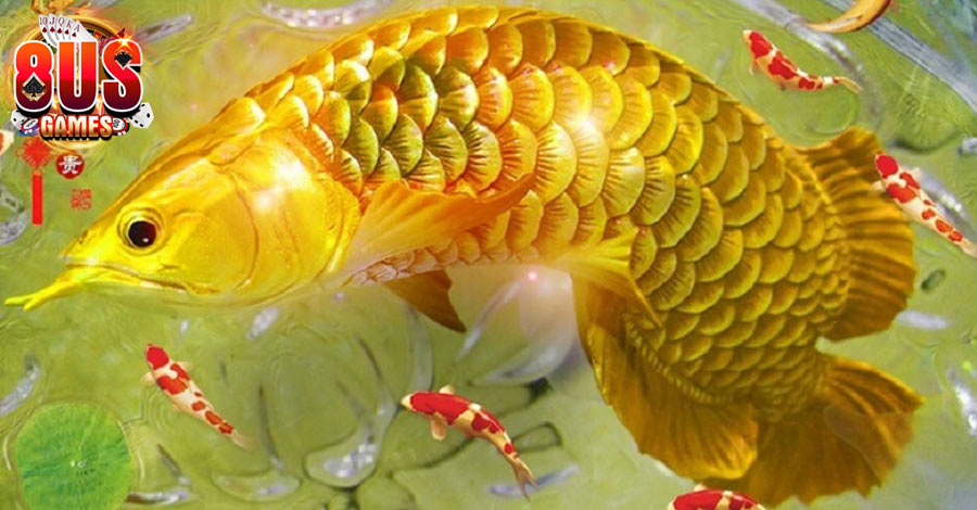 Mơ Bắt Được Cá - Điềm Báo Cho Biết Điều Gì Sắp Xảy Ra 8 Mơ bắt được cá vàng